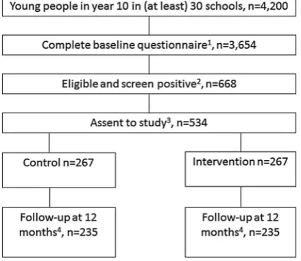 Figure 1Study flowchart.