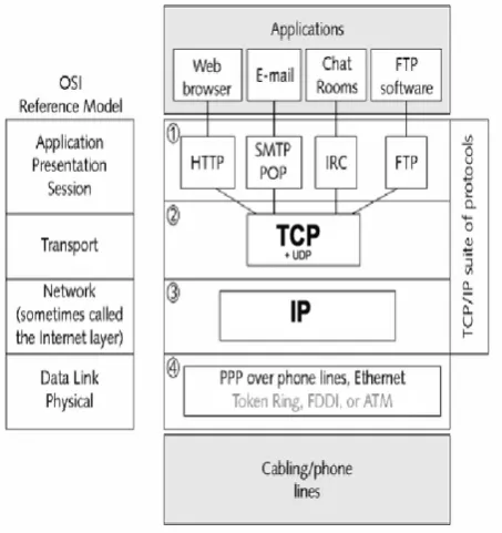 Fig 1:  Showing the OSI Model with specific focus on TCP and IP.   