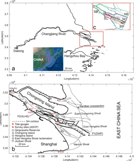 Figure 1. Model domain (a), planar view of the study area within the YRE (b), and repartition of the domain among different deltaic distributaries (c) (SB, NB, SC, NC, SP, and NP represent South Branch, North Branch, South Channel, North Channel, South Pas