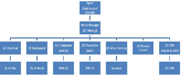 FIGURE -3: HIERARCHY OF OSCOM OFFICIALS 