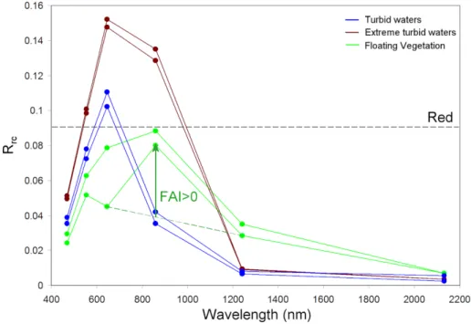 Figure 3. Rayleigh-corrected spectra of pixels that look green in the RGB combination thus  containing a detectable amount of floating vegetation (green), turbid (blue) and extreme turbid  (brown) waters extracted from MODIS-Aqua image of the RdP estuary
