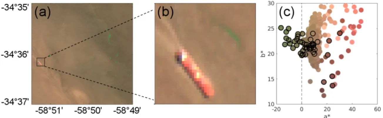Figure 4. (a) Subset of S2 imagery (9 February 2016) and (b) zoom over a patch of floating vegetation  and passing ship; (c) a* vs