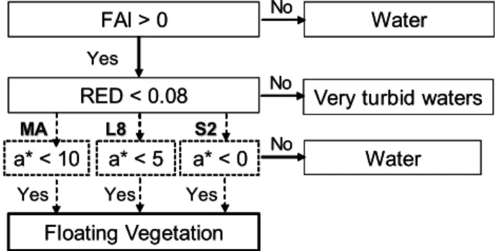 Figure 6. Flowchart of the FAIT scheme used to detect floating vegetation in the turbid waters of  RdP estuary