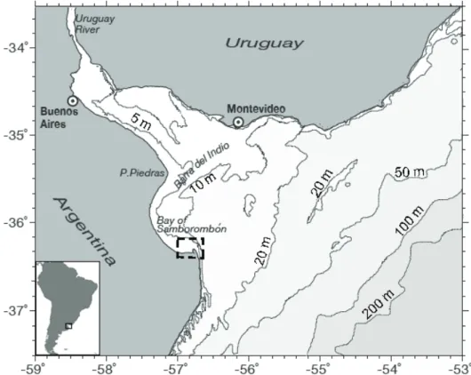 Figure 1: Location and bathymetry of the study area, La Plata River estuary. Dashed rectangle in- in-dicates the region where in situ measurements have been collected