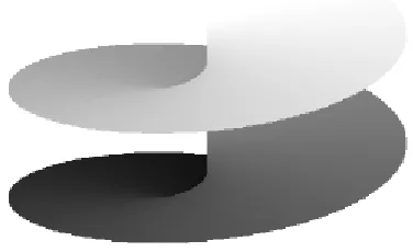 Fig. 1.5 Helicoid wave front (with vortex charge m=2)  