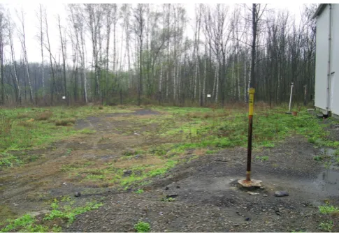 Fig. 1.  A view at the Hedvika mining dump  