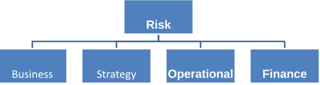 Figure 1: Risk Categories 