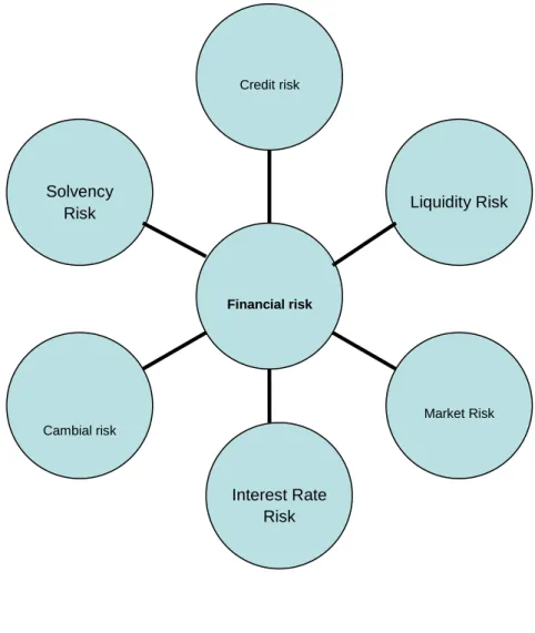 Figure 2: Financial Risk Categories 