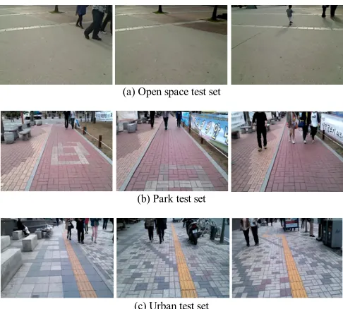 Fig. 8. Sample images from test sets. 