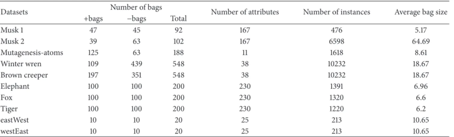 Table 1: Multiple instance learning datasets.