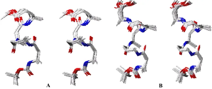 Figure 9: Stereo-view of (A): peptide 22 and (B): peptide 23 (sugars are replaced with