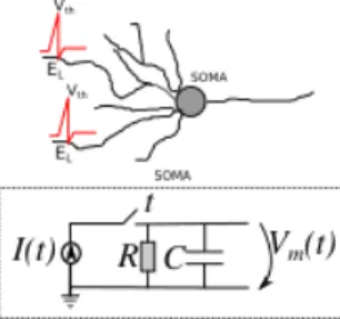 Fig. 1: Equivalent electronic circuit of the leaky-integrate-and-fire neuron model. Let a current I(t) charge the RC circuit