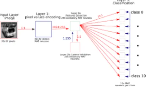 Fig. 2: NatCSNN with (i) n×m (n and m ∈ Z) (image input followed by the three processing layers