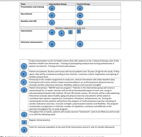 Fig. 1 MEFAP Project Design. MEFAP: Multicomponent physical activity program (for its acronym in Spanish)