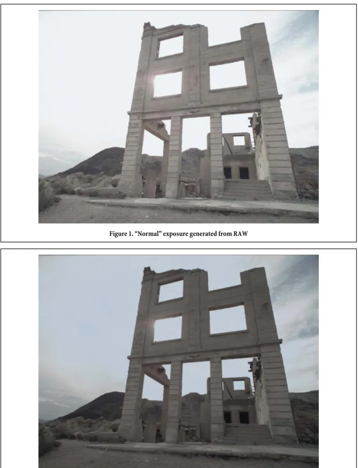 Figure 1. “Normal” exposure generated from RAW 