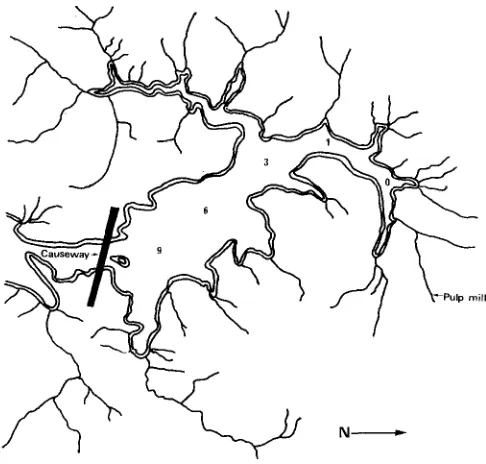 Fig. 1: Upper L'Etang sampling stations 