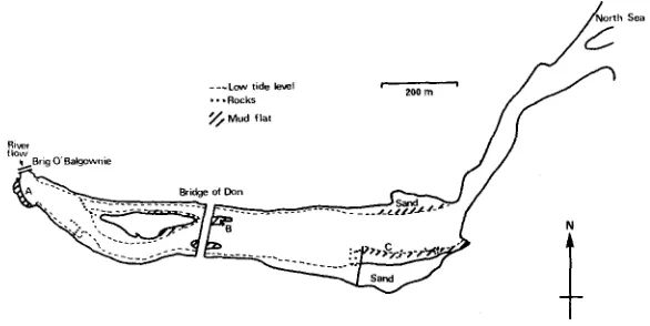 Fig. 2: Aberdeenshire Don sampling stations 