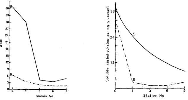 Fig. 3: Distribution in upper L'Etang of Lignosulphonate, as determined by absorbance at 280 nm (Wildish et al., 1976); S: 5 cm from surface; B: 30 cm above sediment 