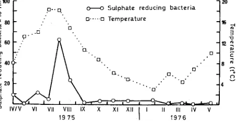 Fig. 9: Seasonal variation in temperature and sulphate-reducing bacteria at a depth of 5 cm in the sediment of Don estuary at Station A 