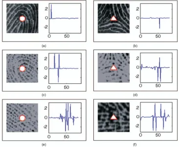 Fig. 6. Singular points detected by using the Poincare´ Index algorithm and their DORIVAC 