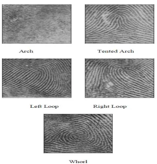 Fig 1: Various types of fingerprints with cores (marked with circles) and deltas (marked with triangles)