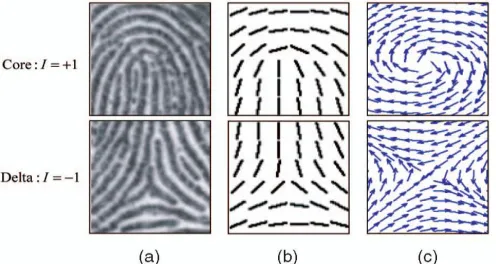 Fig. 3. (a) Singular points in fingerprints with the Poincare´ Indices, (b) their local patterns in the orientation field O, and (c) the vector field V