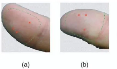 Fig. 4. (a) Left and (b) right views of a real thumb with singular points and boundary marked