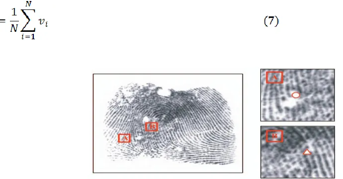 Fig. 5. Two examples of forged singular points detected using a conventional Poincare´ Index-