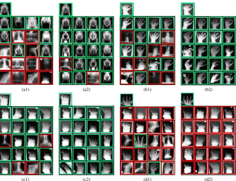 Fig. 3. Examples of retrieval results (a,b,c,d). The isolated, top-left image in each block of images represents the query image
