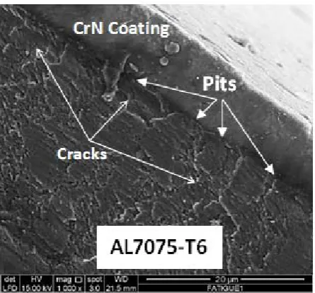 Fig. 7 Typically example of microscopic image from cross sectional view of fractured specimens under fretting fatigue test (a) uncoated (b) Cr-CrN coated 