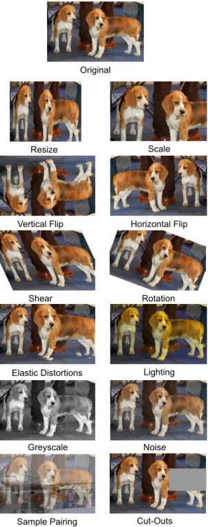 Figure 9: Different kinds of data augmentation techniques used to improve the generalization of the network