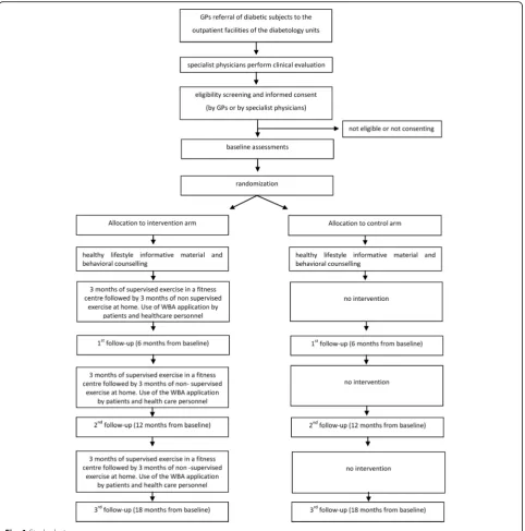 Fig. 1 Study design