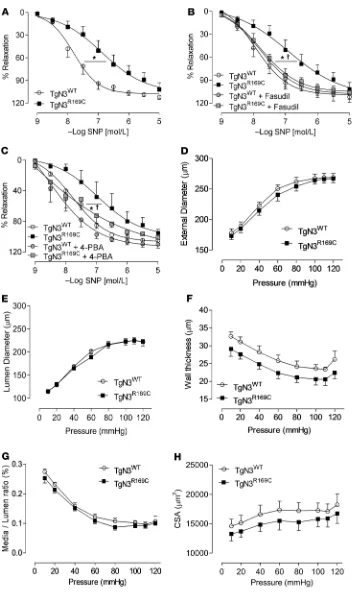 Figure 9. Vascular function and arterial remodeling in CADASIL mice.versus TgNotch3Cross-sectional area (CSA) at increasing intraluminal pressure (10–120 mmHg) in calcium-free conditions