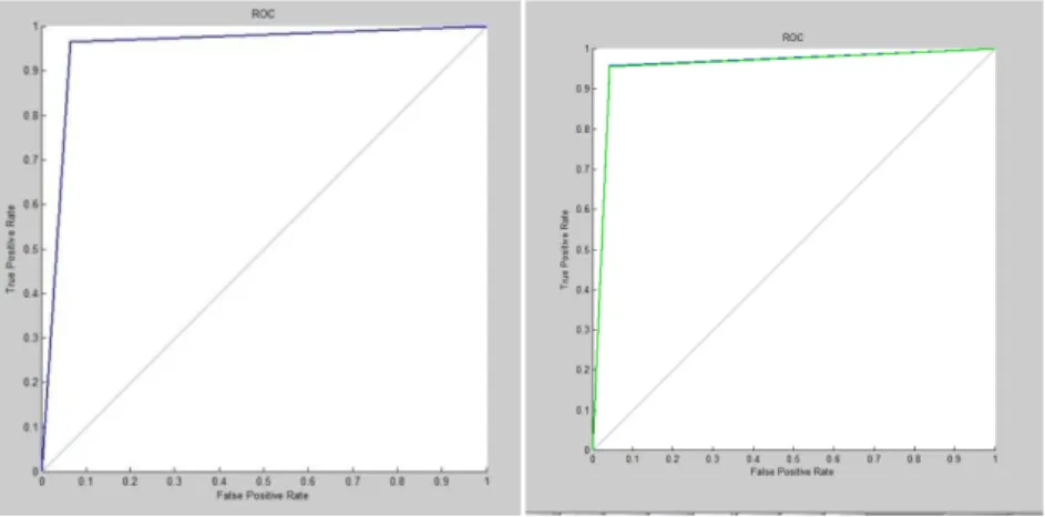 Fig. 4. (a) ROC curve of MCLP on Dataset1; (b) ROC curve of MCLP on Dataset2. 