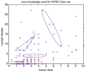 Fig. 6. WPBC data set and prior knowledge.