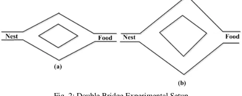 Fig. 2: Double Bridge Experimental Setup 