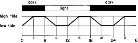 Fig. 4: The 12 h tidal and 24 h light cycle of the experimental system 