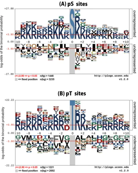 Figure 2.  Sequence logo representation of pS and pT sites. The local sequence neighborhood of 10 upstream  and 10 downstream residues surrounding the phosphorylation sites was used to plot the sequence logos