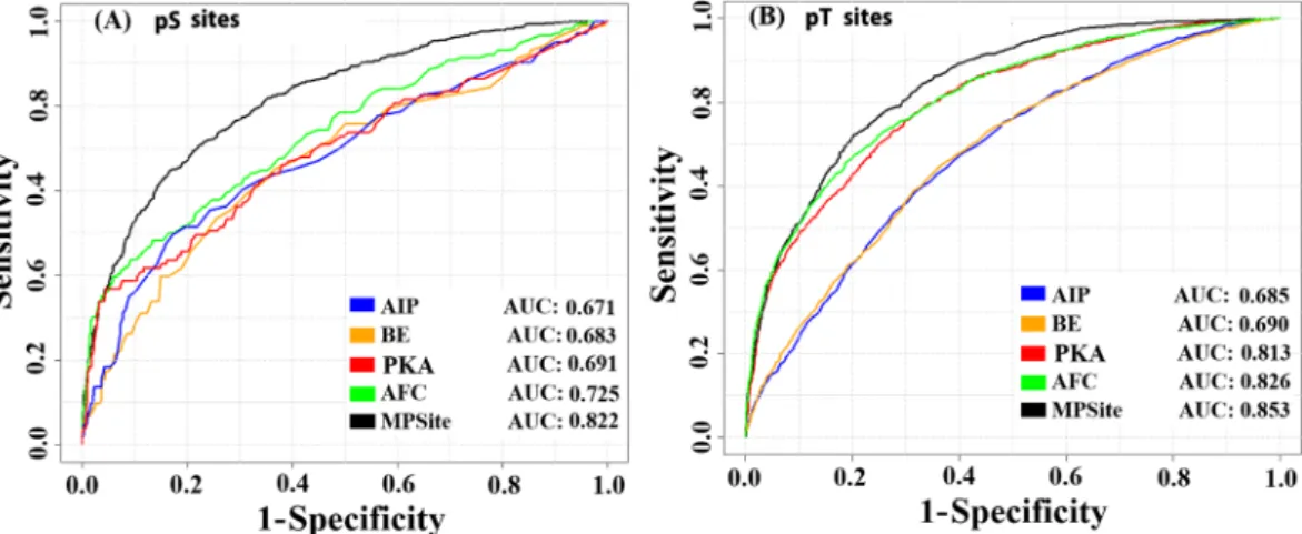 Table 2.  Performance of MPSite based on the training datasets via a 5-fold CV test.