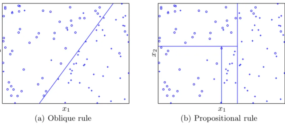 Fig. 2. Oblique rules versus propositional rules [4]