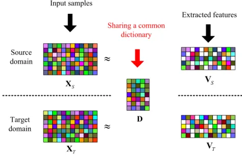Fig. 4. Feature level domain adaptation via a shared dictionary.