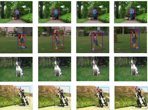 Figure 2.5: Some examples of detection tubes. In each row we show a tube taken from a differentvideo