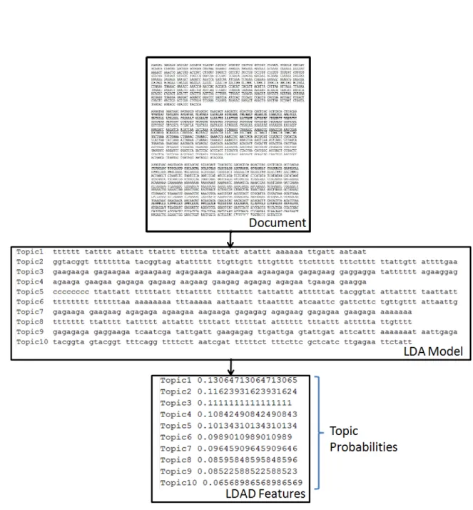 Figure 4.4: Illustration of the process of representing a document with LDAW features