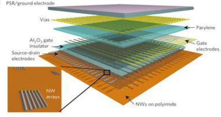 Figure 7: Semiconductor Nanowires 