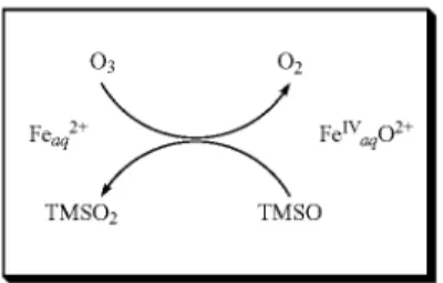 FIG. 6 illustrates 1H-NMR spectrum of products generated 