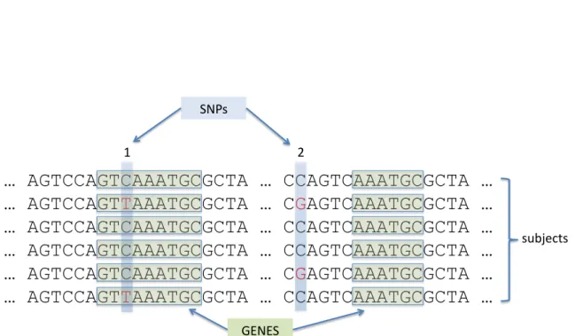 Figure 1.1: Schematic representation of points of common genetic variation between individuals.