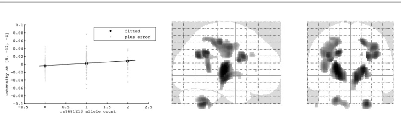 Figure 1.6: MULM in imaging genetic analysis. Left: Association between activation at a single voxel (at location [8, -12, -4]) and minor allele count at a single SNP (RS9681213)