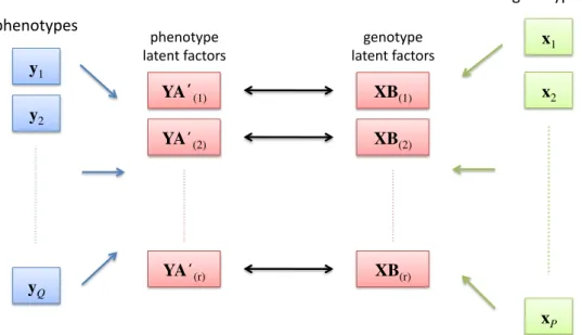 Figure 3.2: Reduced-rank regression latent factors.