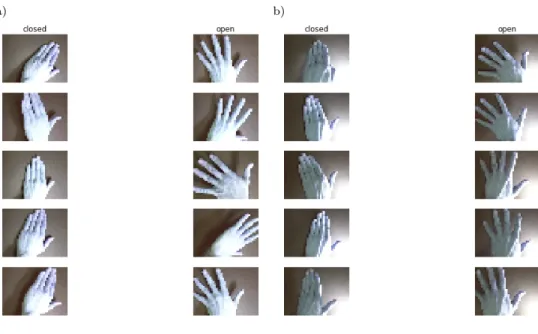 Figure 1. Random examples from training and test sets: a) training set; b) test set.