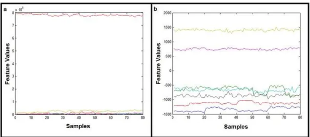 Figure 12: Feature vector comparison after and before feature transformation.   a) Illustration of  24  dimensional  extracted  feature  vector  for  80  samples